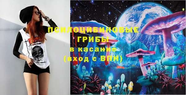 ПСИЛОЦИБИНОВЫЕ ГРИБЫ Иннополис