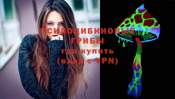 мяу мяу мука Инта