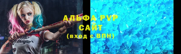 СК Инсар